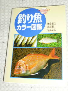 「釣り魚カラー図鑑」豊田直之/西山徹/本間敏弘　西東社