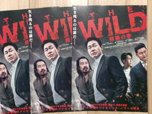 映画チラシ THE WILD 修羅の拳 3枚 韓国 劇場版ちらし パク・ソンウン オ・デファン オ・ダルス チュ・ソクテ