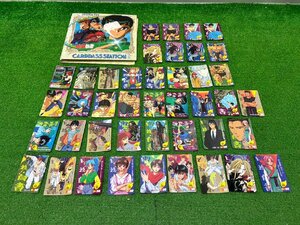 【中古品】『2-258』幽遊白書　カードケース　カード カード　約102枚　大量まとめ