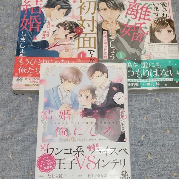 初対面ですが結婚しましょう/愛されていますが離婚しましょう /結婚するなら俺にしろ