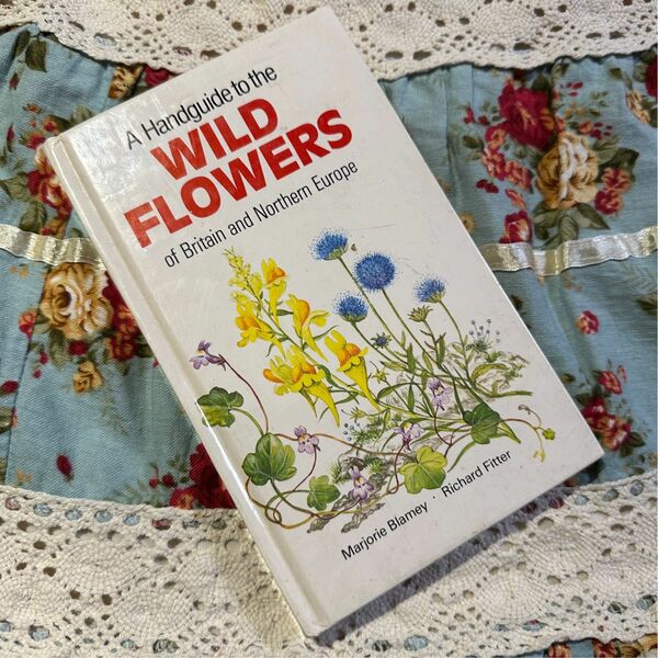 洋書　古書　WILD FLOWERS ボタニカル　Marjorie Blamey マジョリーブレイミー