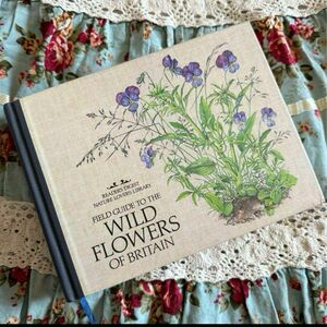 洋書　古書　Wild Flowers ボタニカルアート　コラージュ　植物図鑑