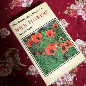 洋書　古書　WILD FLOWERS ボタニカル　植物図鑑　小さな図鑑