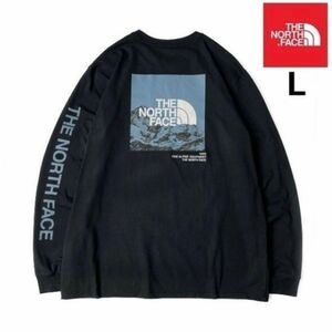 【新品】ノースフェイス 海外限定 グラフィック ロンT LONG SLEEVE LOGO PLAY TEE 即納