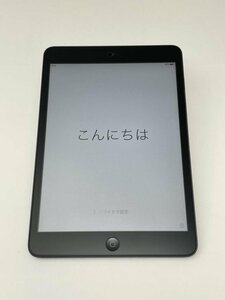 F21【動作確認済】 初代 iPad mini 32GB Wi-Fi ブラック