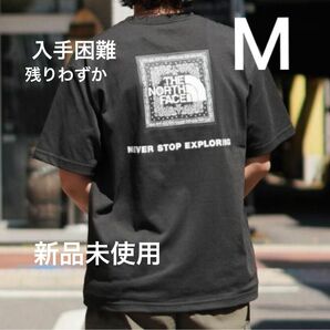 THE NORTH FACE ショートスリーブ バンダナロゴ スクエアロゴ Tシャツ ノースフェイス バックプリント 半袖