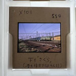 【昔の鉄道写真 ネガ ポジ】下り「さくら」/EF58/牽引■星晃■P-550■240222