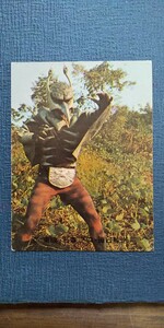 旧カルビー仮面ライダーカード 68番 N2版