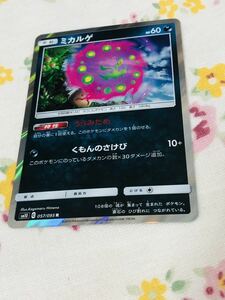 ポケモンカード キラ ミカルゲ