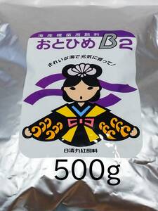 高栄養飼料 メダカ餌 おとひめB2 500g アクアリウム 熱帯魚 金魚 グッピー めだか