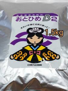 高栄養飼料 メダカ餌 おとひめB2 1.5㎏ アクアリウム 熱帯魚 金魚 グッピー めだか