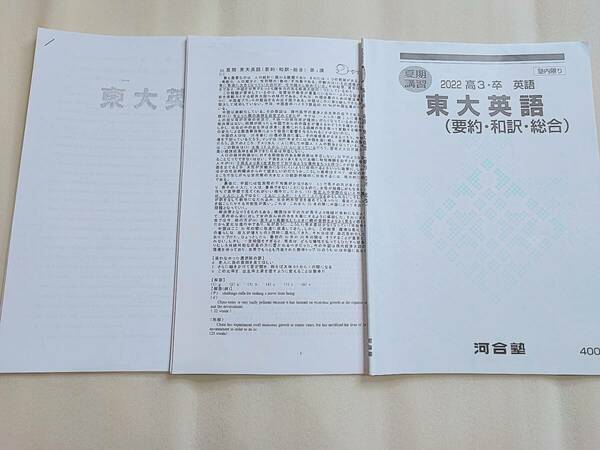 河合塾　墺タカユキ先生　22年夏期　東大英語（要約・和訳・総合）　テキスト　プリント　板書　Evergreen作者　駿台　Z会　東進　SEG 