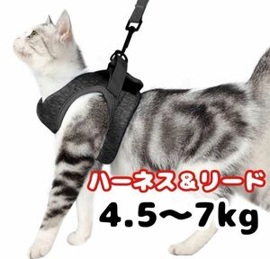 軽量シンプル 猫用ハーネス &リード ネコ 小型犬にも やわらか ダークグレー 猫 ペット