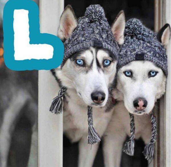 犬 ニット帽 おしゃれ 冬のお散歩も楽しくやわらか 耳穴あり 防寒 防風 L ペット　犬服　帽子