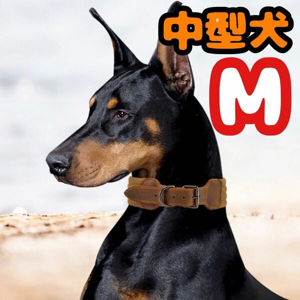 おしゃれ中型犬～ 首輪 頑丈 牛革使用 イヌ お散歩 ドック かっこいい M