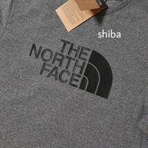 THE NORTH FACE ノースフェイス イージー tシャツ 半袖 グレー 灰色 ブラック 黒 ロゴ Easy 海外XSサイズ_画像2