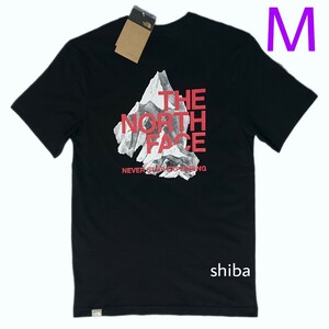 ノースフェイス 半袖 シャドウ 海外M THE NORTH FACE tシャツ BLACK 黒 ブラック 赤 レッド