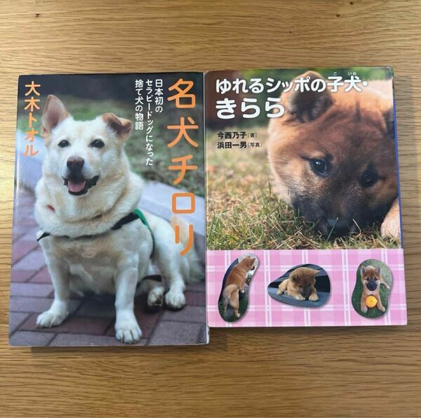 名犬チロリ ゆれるしっぽの子犬きらら