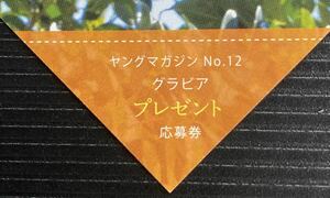 ヤングマガジン12号 直筆サイン入りチェキプレゼント応募券　林田真尋（元フェアリーズ）　一ノ瀬瑠菜　加藤綾乃　吉井しえる　堀みなみ①