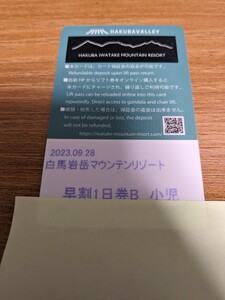 白馬岩岳マウンテンリゾート 子供 リフト1日券 ②