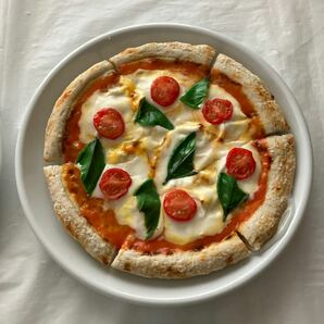 食品サンプル ピザの画像3