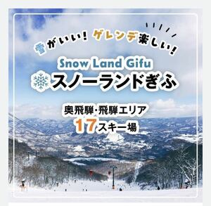 ★岐阜スノーエリア共通リフト1日券★引換券★1枚★