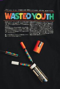 wasted youth ポスカ　3本　未使用　TOKION購入　verdy