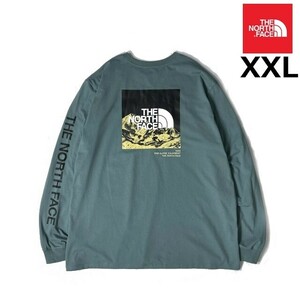 残① 1円～!売切!【正規新品】THE NORTH FACE L/S LOGO PLAY TEE 長袖 Tシャツ ロンT US限定 袖ロゴ 落描き風 上質(XXL)青 180902-20