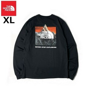 1円～!売切!【正規新品】THE NORTH FACE◆L/S BOX NSE TEE 長袖 Tシャツ ロンT US限定 ボックスロゴ バックプリント(XL)黒 180902-20