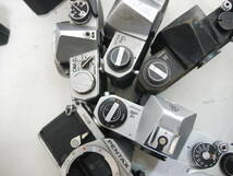 925 MFカメラ フィルムカメラ カメラボディ 32台 まとめ Canon/Nikon/Minolta/PENTAX/OLYMPUS/Mamiya/YASHICA/RICOH 鉄カメ _画像9
