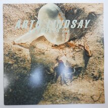 46064262;【国内盤/12inch】Arto Lindsay / Ecomixes Two_画像1