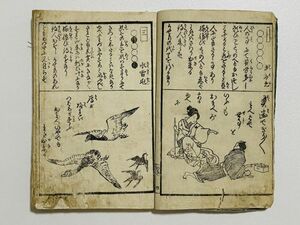 「意気廼通家会」 1冊 竹葉舎金瓶序｜和本 和書 古典籍 絵本 絵入本 浮世絵 読本 草双紙 歌謡 花鳥