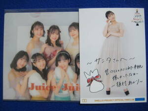 12/6 ミニクリアファイル付 コレクション写真 #1 植村あかり FCイベント2021 Juice=Juice ～メリクリ×Juice×BoxⅥ～ KT Zepp 横浜