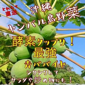  энзим вдоволь! Okinawa yan bar остров овощи! синий папайя случайный 5kg салат ... предмет тоже!