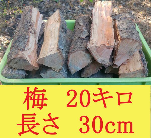 【約20キロ】梅 30cm ウメ◆乾燥薪 大割 ◆暖炉・薪ストーブ・キャンプ【大分県発】