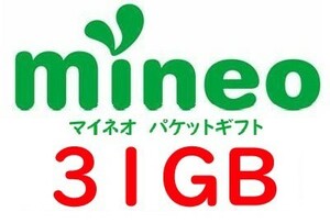 mineo　マイネオ　パケットギフト　31GB