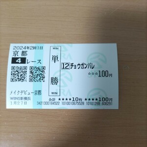 競馬　3歳未勝利戦　2着　大荒れ　初出走時の馬券　メイクデビュー京都　チョウガンバレ　単勝馬券　カードコレクション　珍名馬券　ウマ娘