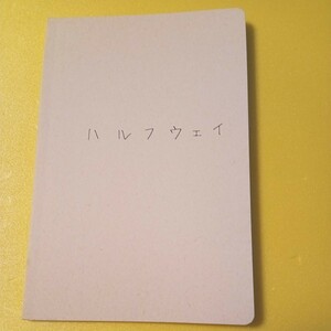 映画パンフレット　邦画　ハルフウェイ　北乃きい　岡田将生　溝端淳平　仲里依紗　大沢たかお　美品