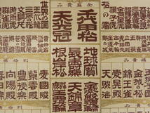 萬年青銘鑑　昭和11年1月撰　三河園芸組合　石版刷　約38×54.5cm　万年青　オモト　古文書_画像6