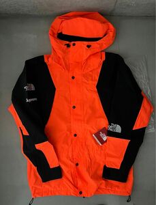 supreme north face leaves mountain light jacket シュプリーム ノースフェイス