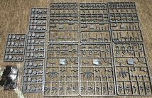 ゴブリン・ユニットボックス Warhammer FB ウォーハンマー ファンタジーバトル　オールドワールド_画像3