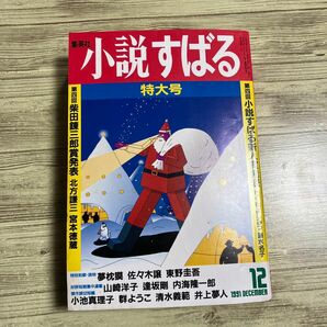 古本　小説すばる　1991年 特大号