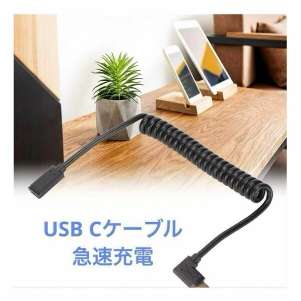 ★新春SALE★急速充電 USB Cケーブル USBC3.1電源ケーブル 黒