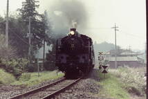 (B23)681 写真 古写真 鉄道 鉄道写真 蒸気機関車 C11325 フィルム ネガ まとめて 23コマ SL_画像6