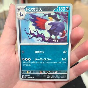 ドンカラス (ポケモンカード)