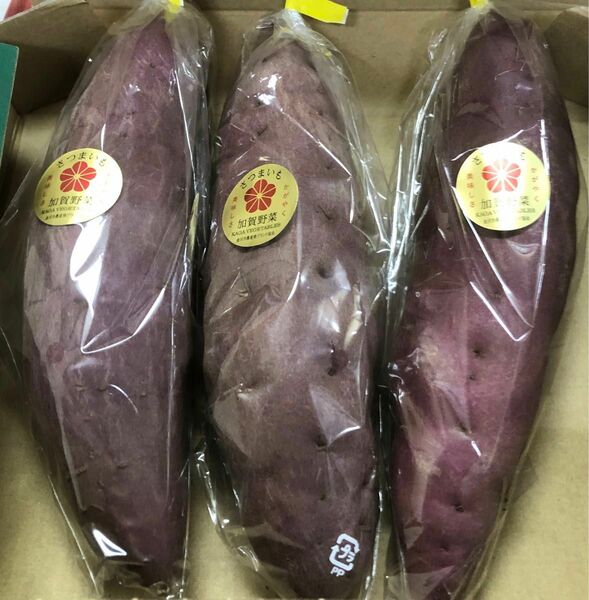 加賀野菜　五郎島金時芋３本セット Ｌサイズ