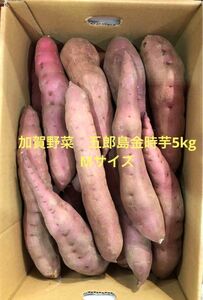 加賀野菜　五郎島金時芋5kg箱　Mサイズ