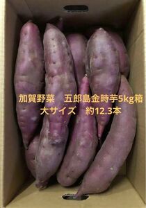 加賀野菜　五郎島金時芋5kg箱　大サイズ