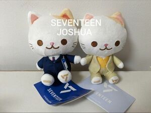 SEVENTEEN　ANIMAL COORDY　ミニぬいぐるみ　JOSHUA 2個セット　ジョシュア