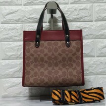 COACH コーチ レキシー トートバッグ シグネチャー タイガー 恐竜_画像2